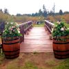 Wine Barrels - Image 2